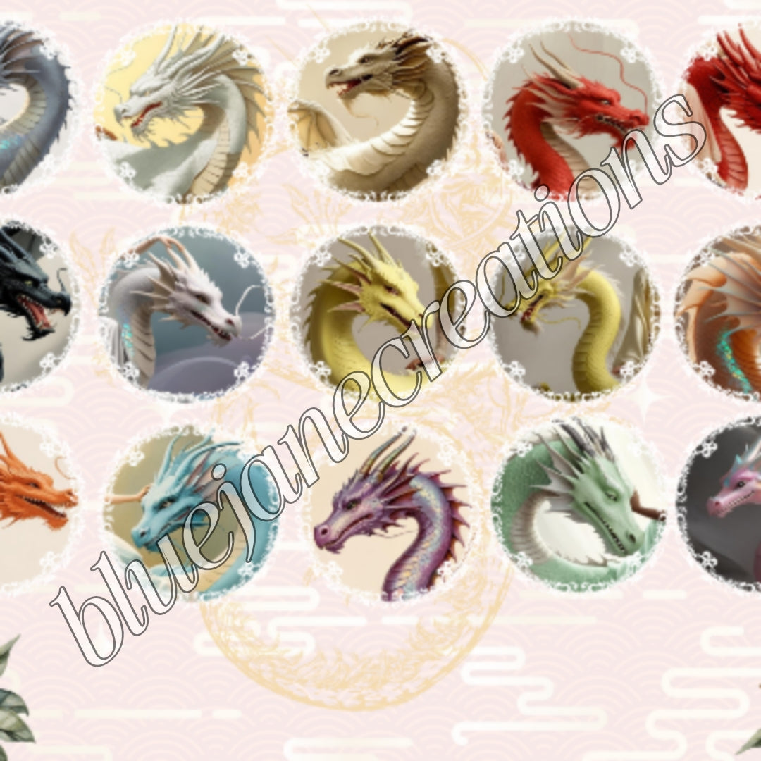 Dragon Maidens Collection