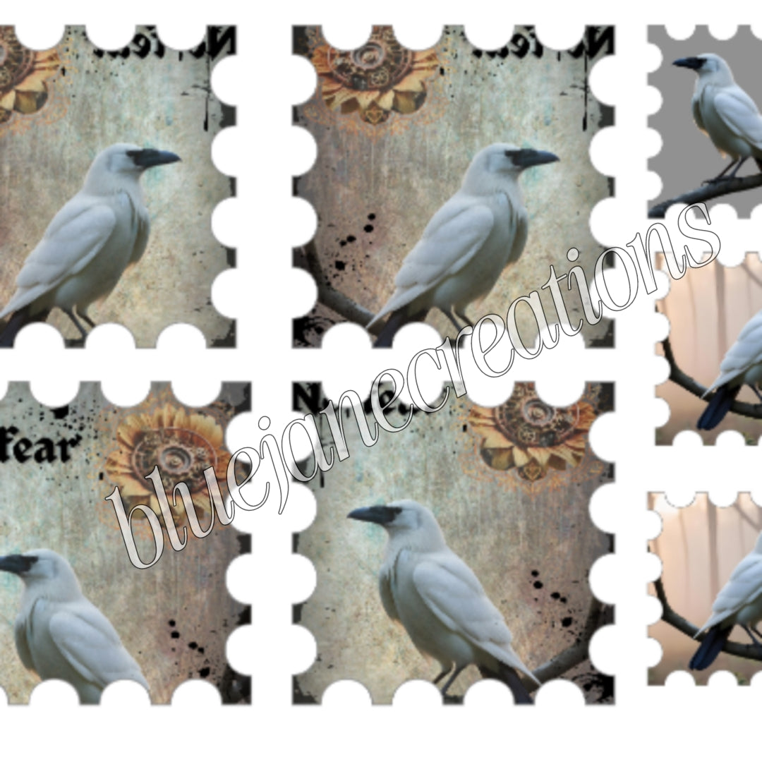 Raven Paper Collection